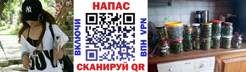 Псилоцибиновые грибы Сатка