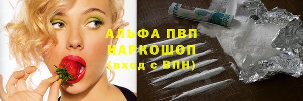 бошки Иннополис