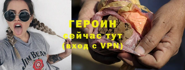 гидра Елизово