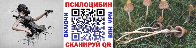 Купить закладки Сатка Псилоцибиновые грибы Psilocybine cubensis